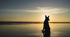 Crédito: Divulgação