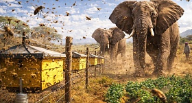 Crédito: Divulgação