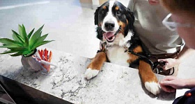 Crédito: Divulgação