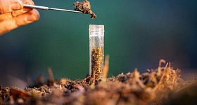 Crédito: Divulgação