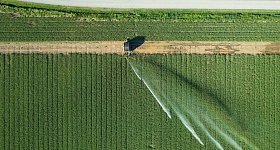 Crédito: Divulgação 