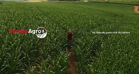 Crédito: Divulgação