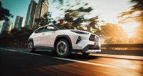     Divulgação Grupo T-Line