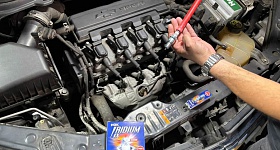 Crédito: Divulgação