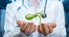 Crédito: Divulgação 