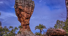 Parque Estadual de Vila Velha - Valterci Santos