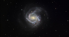 Crédito: Divulgação 