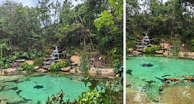 O lago ganha ainda mais vida com uma bela cascata e a presença de diversas espécies de peixes, entre elas as carpas. | Projeto de paisagismo: Depieri Paisagismo | Execução do Lago: Bicalho Lagos Naturais | Fotos: Divulgação