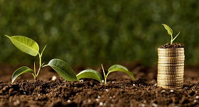 Divulgação Freepik