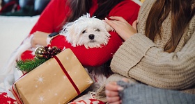 Crédito: Divulgação