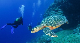 Créditos : Chis Mason Parker - Tourism Seychelles