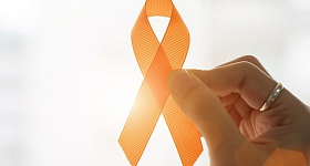 Crédito: Divulgação 