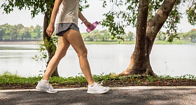 Crédito: Shutterstock