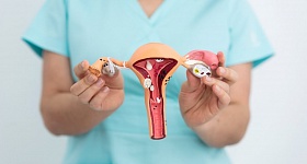 Crédito: Divulgação 