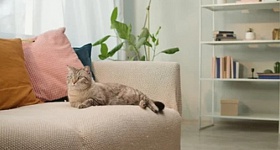 Crédito: Divulgação