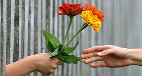 Crédito: Divulgação