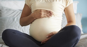   Divulgação | Freepik