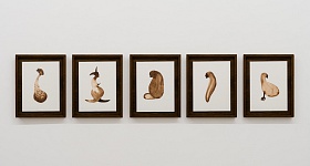 Crédito: Divulgação 