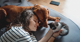 Divulgação: Zoetis