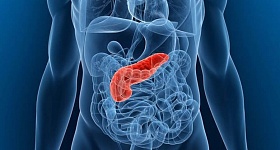 Crédito: Divulgação 