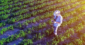 Sombrero Seguradora - Seguro Paramétrico - Foto Shutterstock Divulgação.