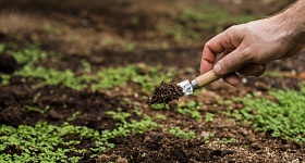 Crédito: Divulgação