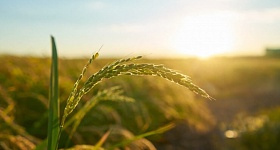 Crédito: Divulgação 