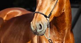 Luisa Peter/Unsplash