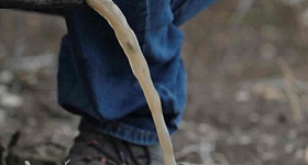  Divulgação Rivulis