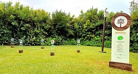 Crédito: Divulgação