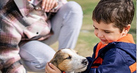 Crédito: Divulgação 