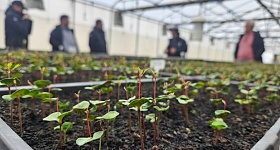       Divulgação - Epson