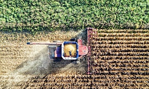 O agronegócio representa 23,2% do PIB nacional. Créditos da Imagem: Canva