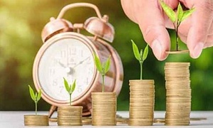 Divulgação Internet