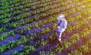 Sombrero Seguradora - Seguro Paramétrico - Foto Shutterstock Divulgação.
