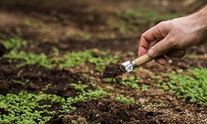 Crédito: Divulgação