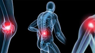 Crédito: Divulgação