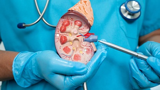  A alta demanda tem relação direta com a incidência crescente de doenças crônicas, especialmente a hipertensão arterial e o diabetes, que podem levar à perda progressiva da função renal - Crédito: Envato