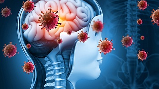 Crédito: Divulgação 