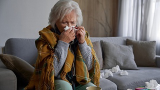 Durante o outono, a queda brusca da temperatura e a redução da umidade do ar deixam o clima mais frio e seco, causando um estresse no mecanismo de defesa - Crédito: Envato