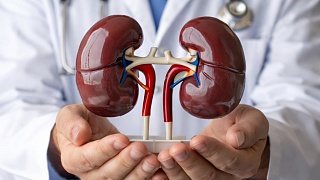  Segundo Ministério da Saúde, cerca de 10% da população brasileira tem diagnóstico de doença renal - Divulgação