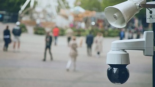 Crédito: Divulgação 