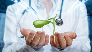 Crédito: Divulgação 