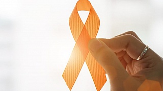 Crédito: Divulgação 