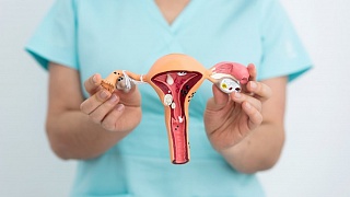 Crédito: Divulgação 