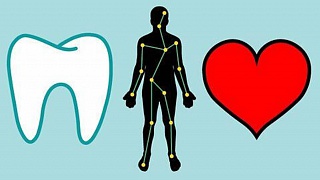 Crédito: Divulgação