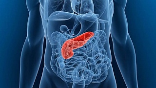 Crédito: Divulgação 