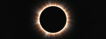 Divulgação/Freepik