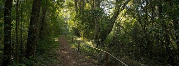  Créditos: divulgação Urbia+Cataratas