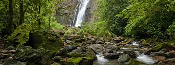  Cachoeira Salto Morato, com mais de 100 metros de queda, é opção em Guaraqueçaba (PR), na Grande Reserva Mata Atlântica | Foto: José Paiva/Fundação Grupo Boticário